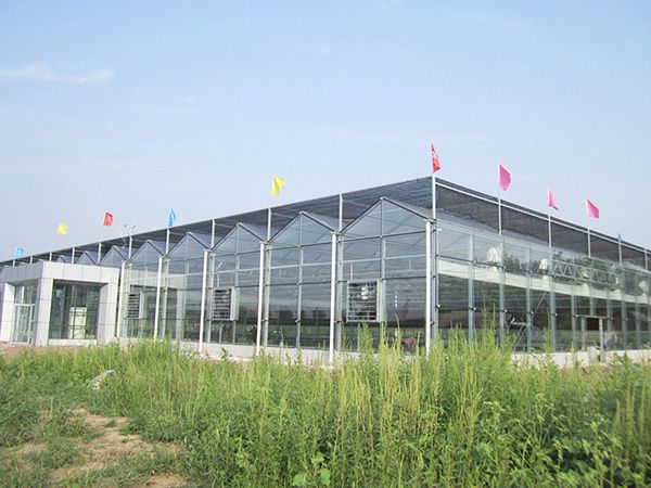 怎样建设温室大棚？